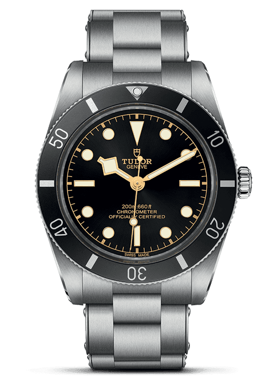 Tudor Black Bay 54_79000N-0001-1.png