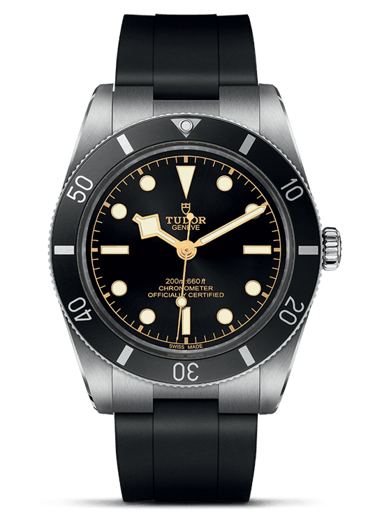 Tudor Black Bay 54_79000N-0002-1.png