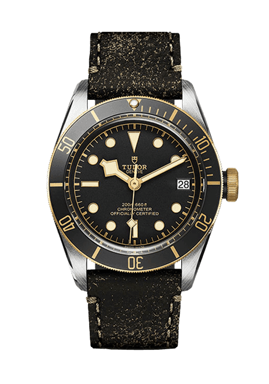 Tudor Black Bay S&amp;G_79733N-0007-1.png