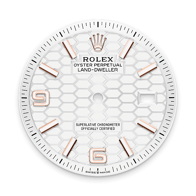 Feature1_Asset portrait M127235-0001