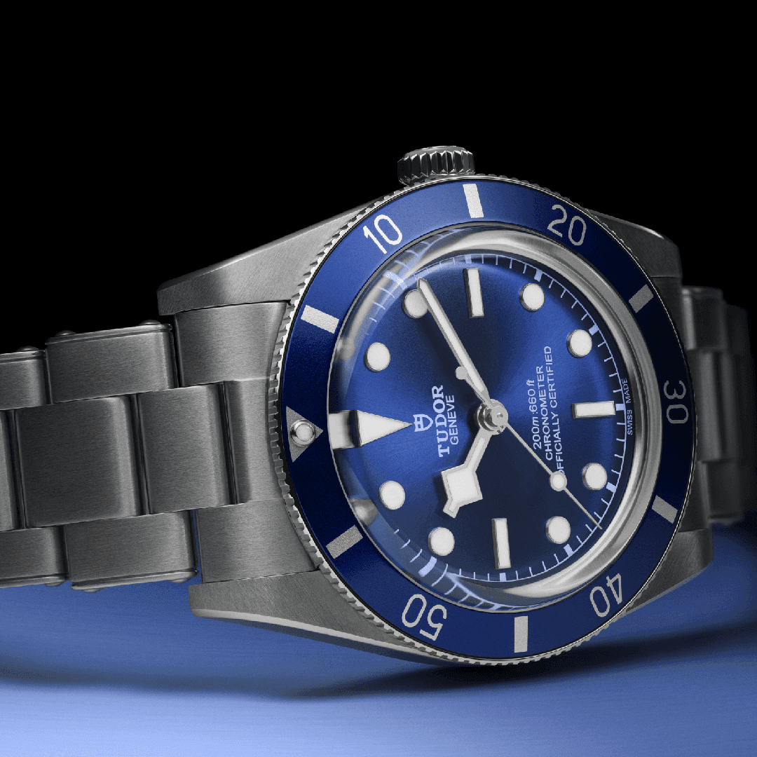tudor15