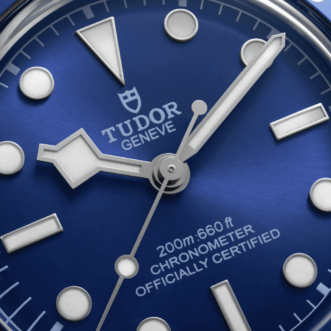tudor16