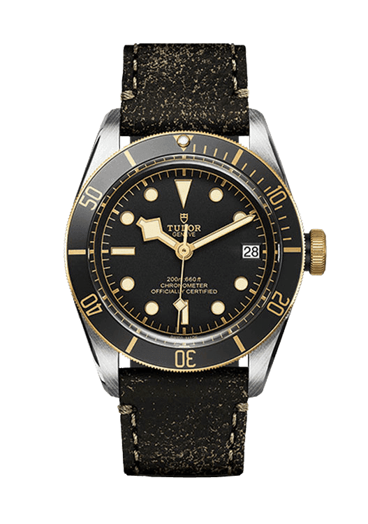 Tudor Black Bay S&G_79733N-0007-1.png
