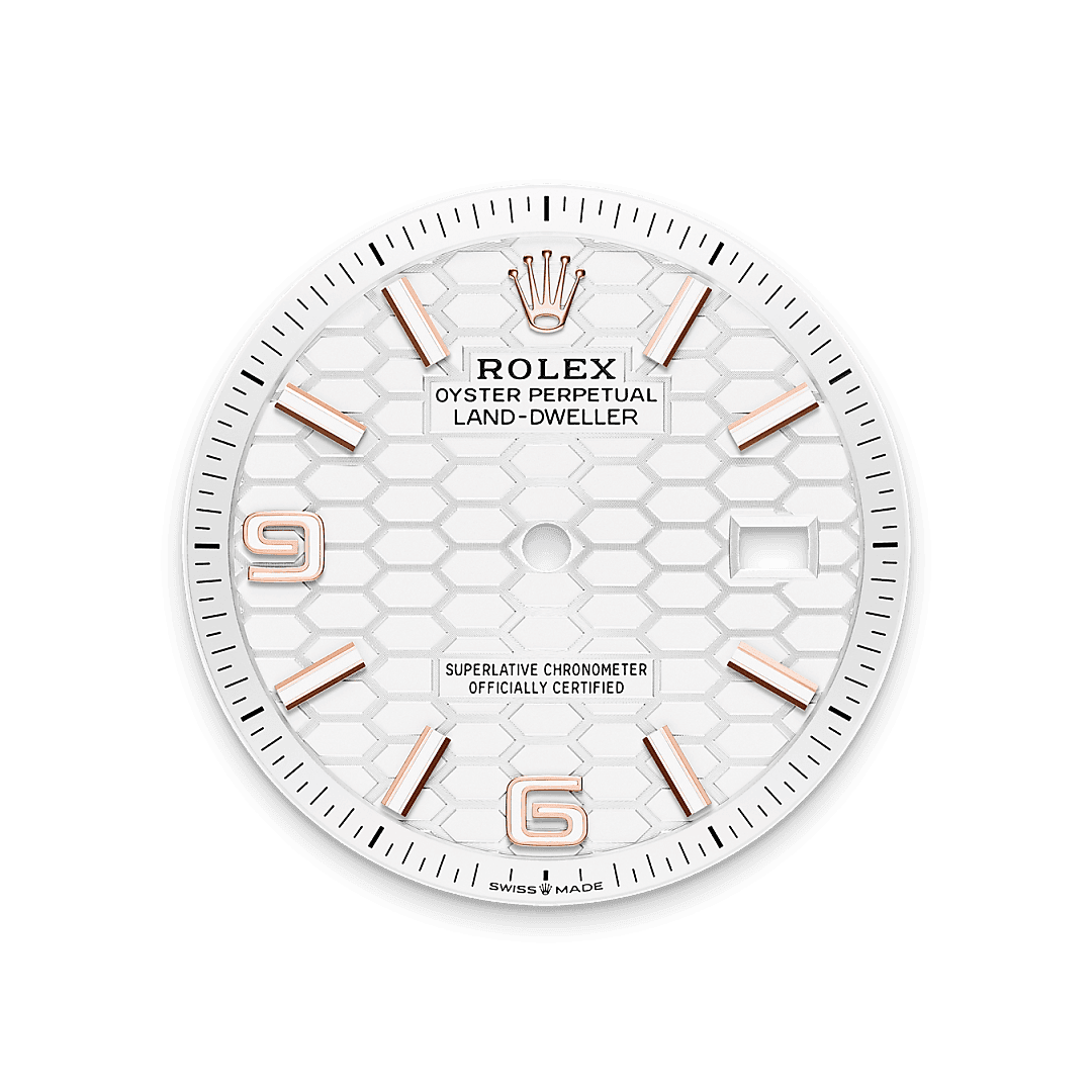 Feature1_Asset landscape M127235-0001