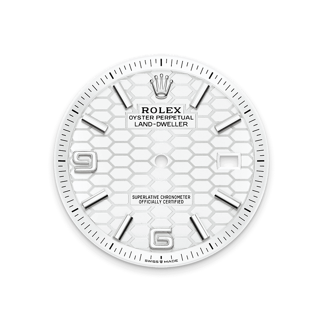 Feature1_Asset landscape M127334-0001