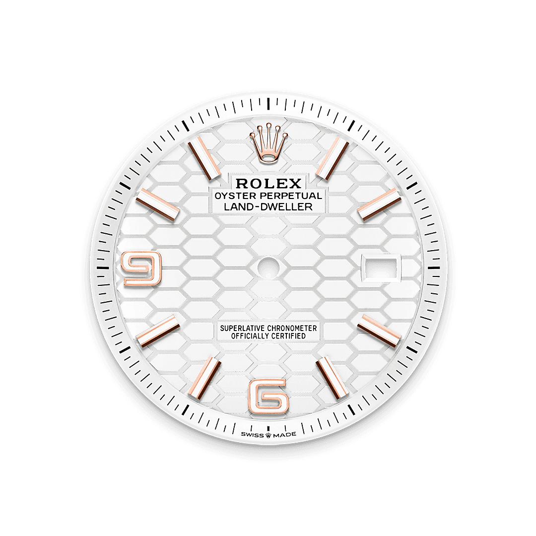 Feature1_Asset landscape M127335-0001