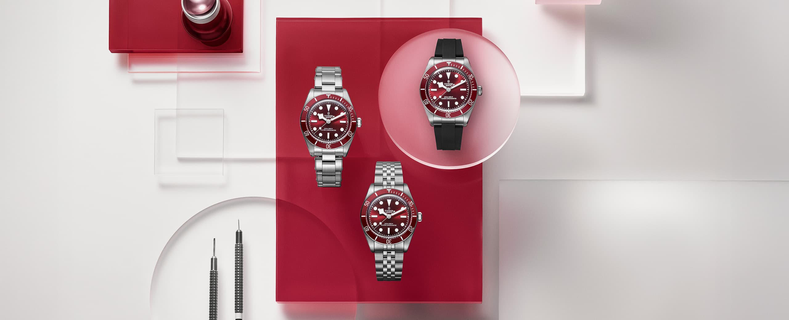 Tudor_black bay_banner