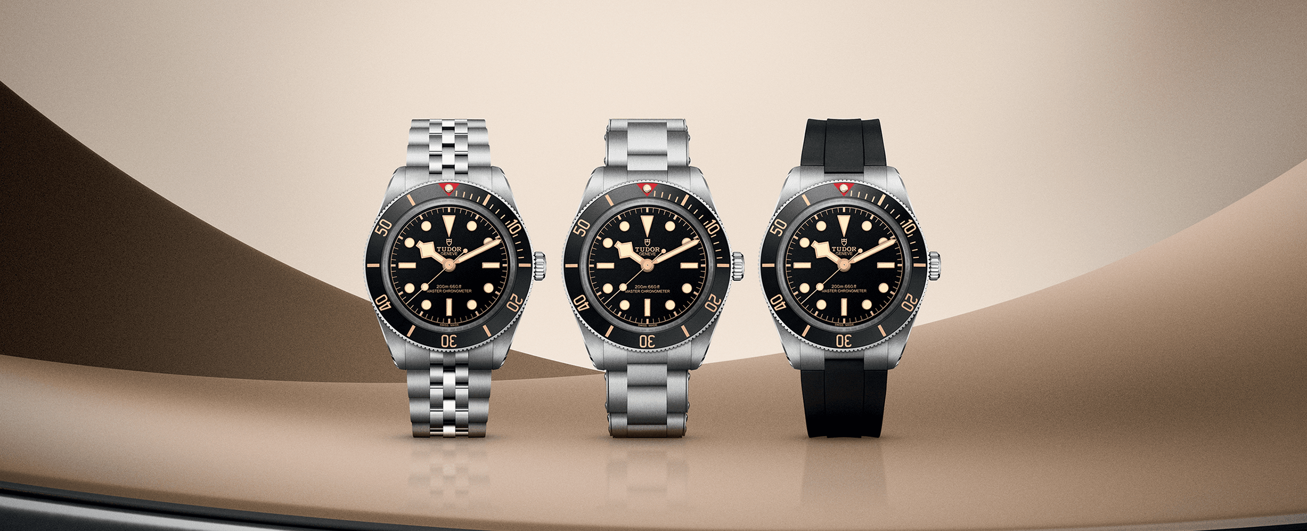 tudor_58