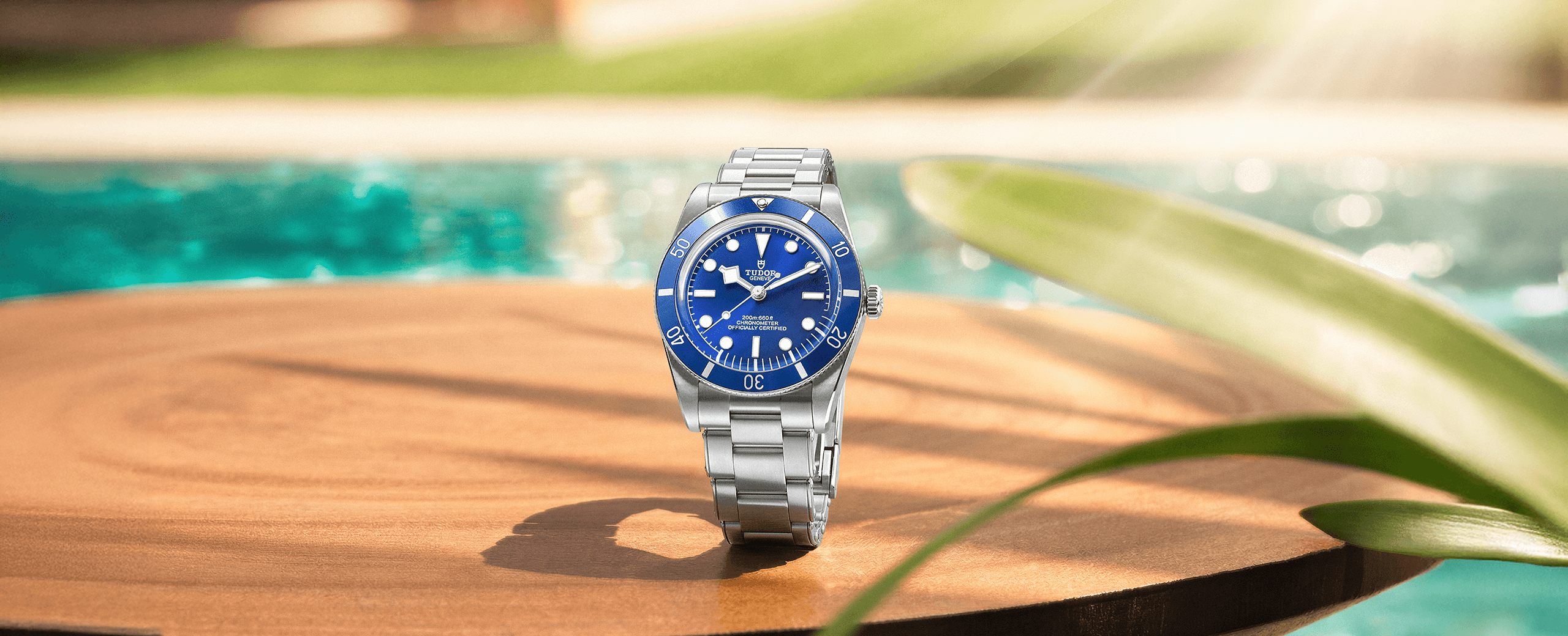 TUDOR_2026_M79000B-0001_Summer_002 (1)
